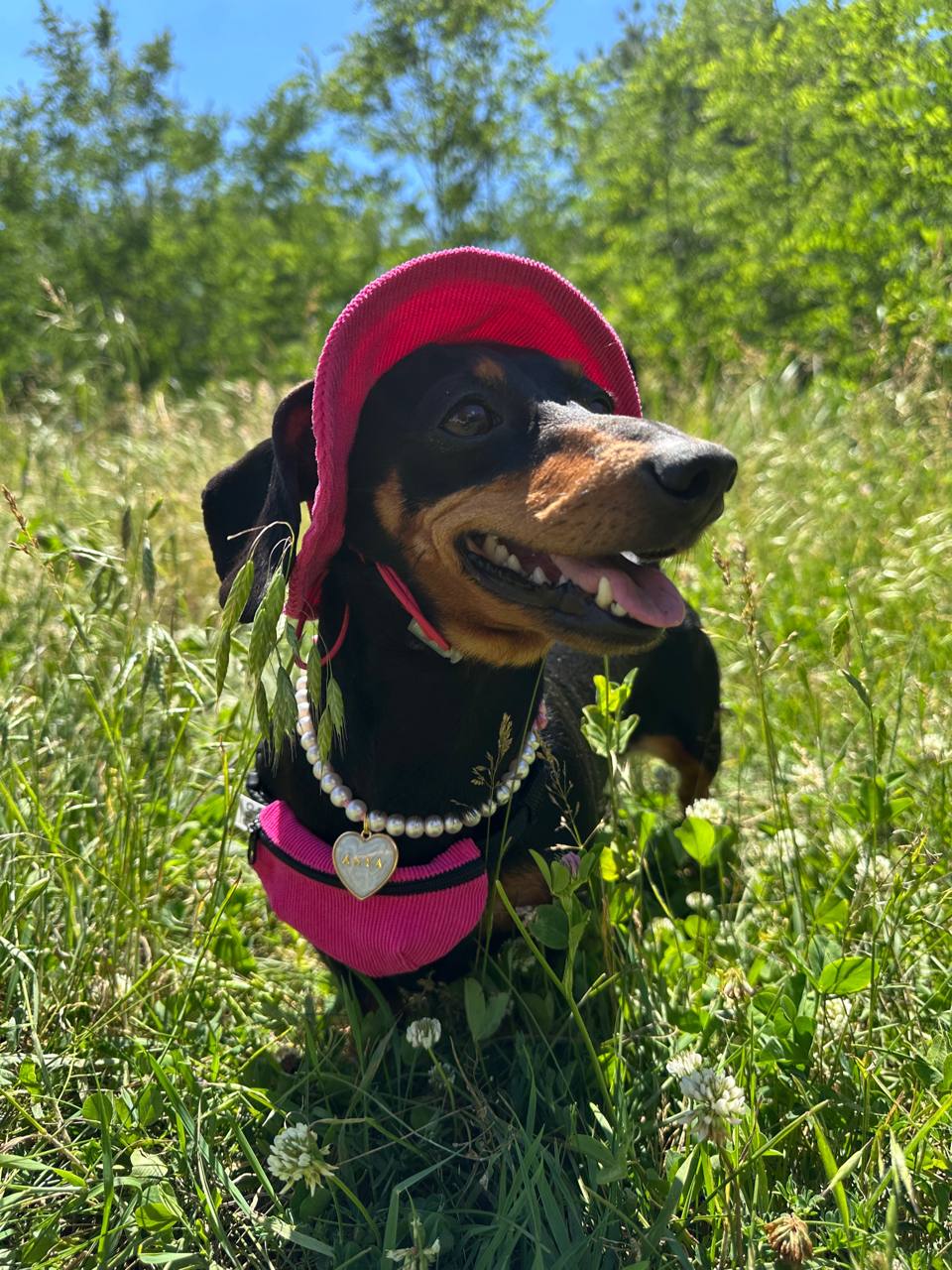 Сумка-бананка на собаку из вельвета HatDog, малиновая Сумка-бананка на собаку из вельвета HatDog, малиновая