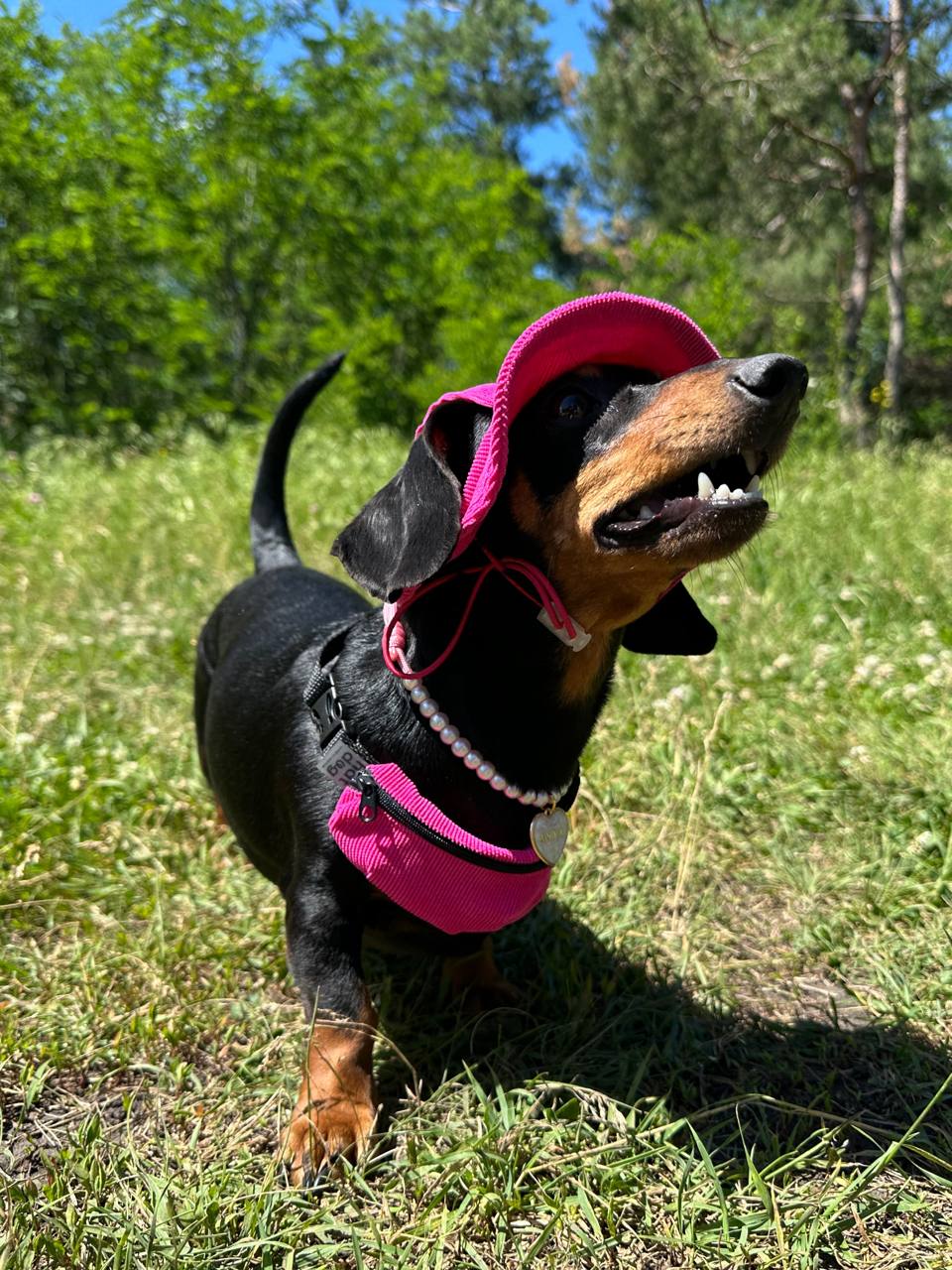 Сумка-бананка на собаку из вельвета HatDog, малиновая Сумка-бананка на собаку из вельвета HatDog, малиновая