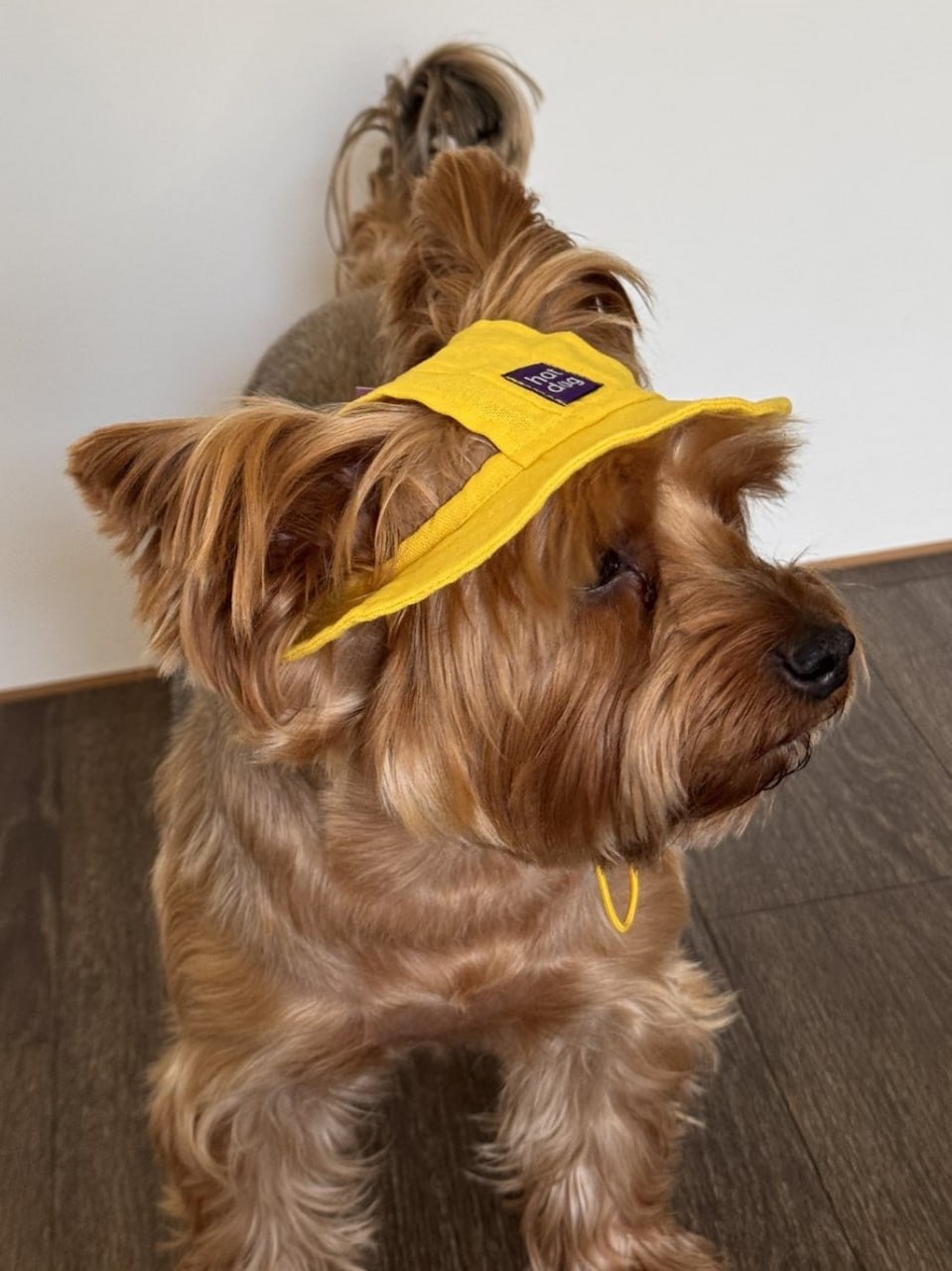 Панама для собак из льна HatDog, желтая Панама для собак из льна HatDog, желтая