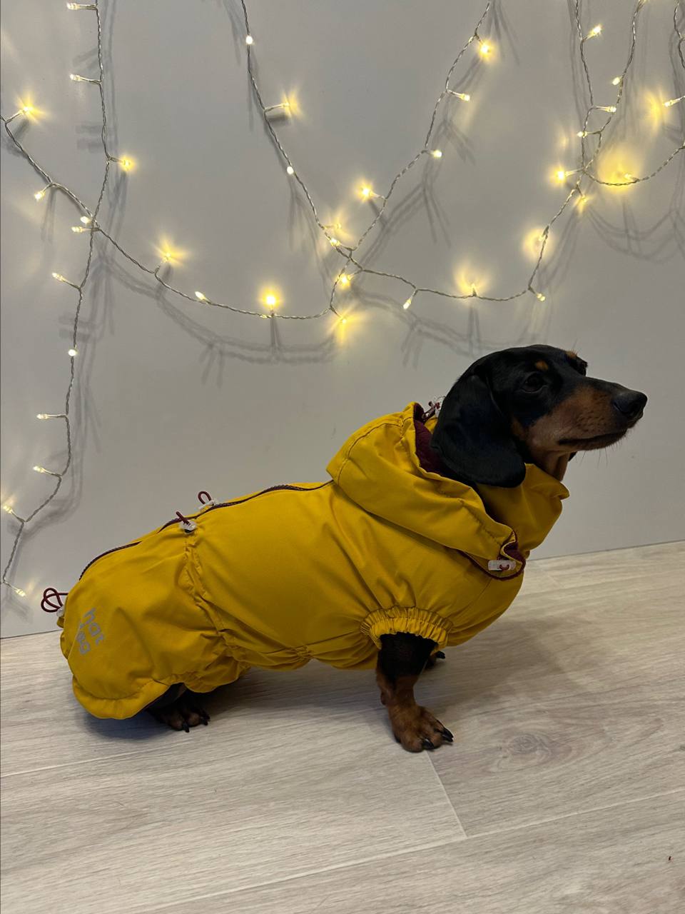 Ветровка на флисе для такс HatDog, куркума Ветровка на флисе для такс HatDog, куркума