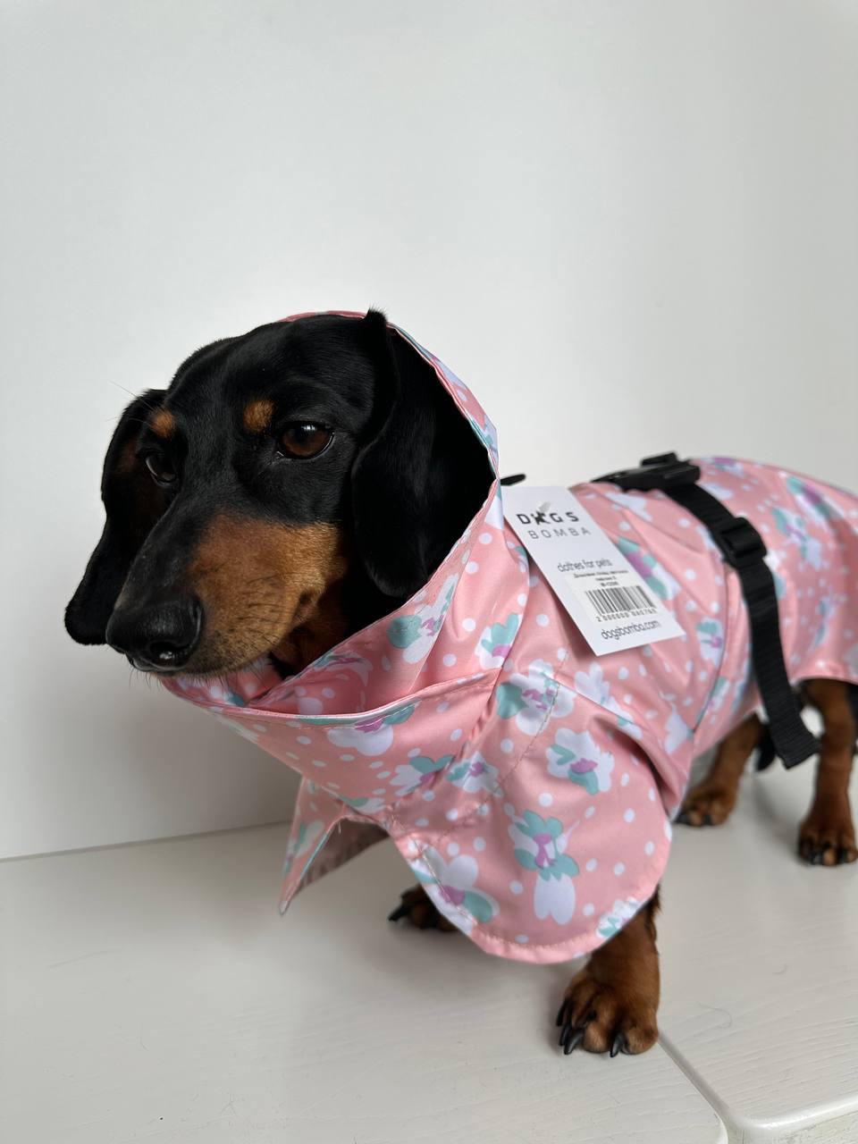 Дождевик-плащ для собак DogsBomba Цветочки, персиковый Дождевик-плащ для собак DogsBomba Цветочки, персиковый