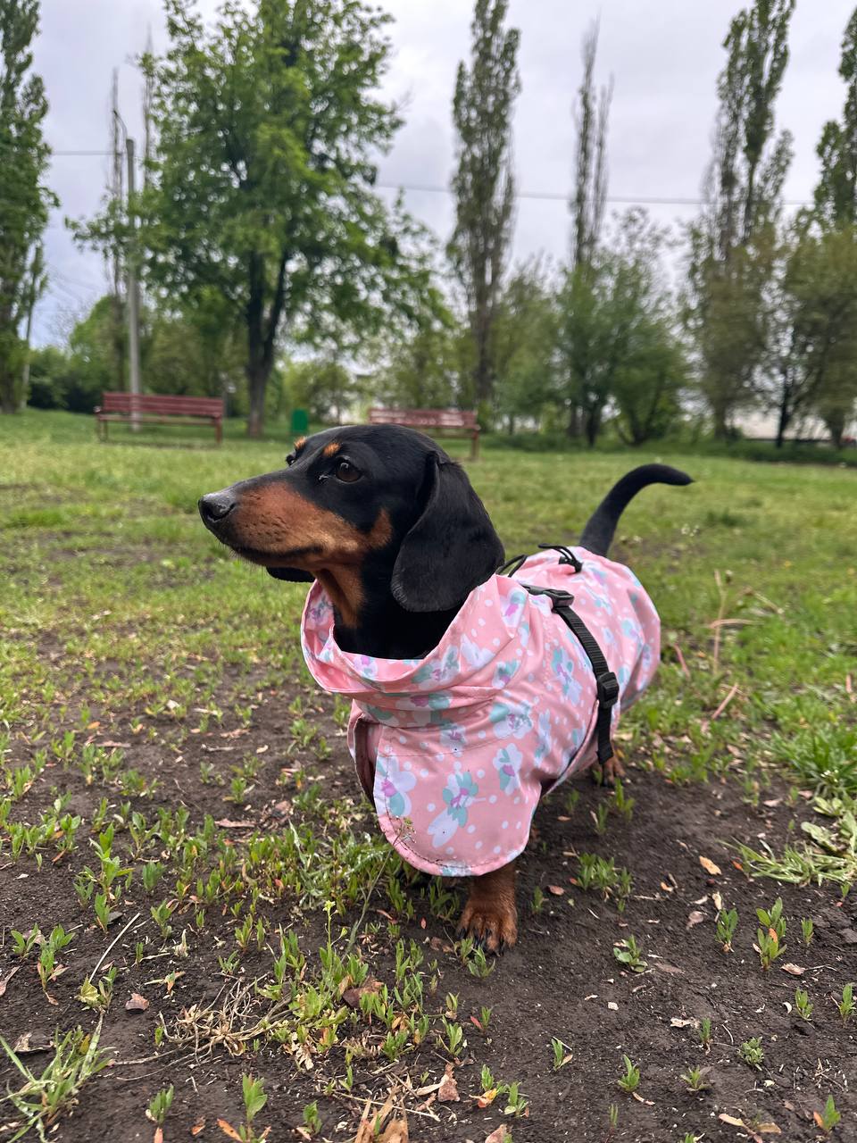 Дождевик-плащ для собак DogsBomba Цветочки, персиковый Дождевик-плащ для собак DogsBomba Цветочки, персиковый