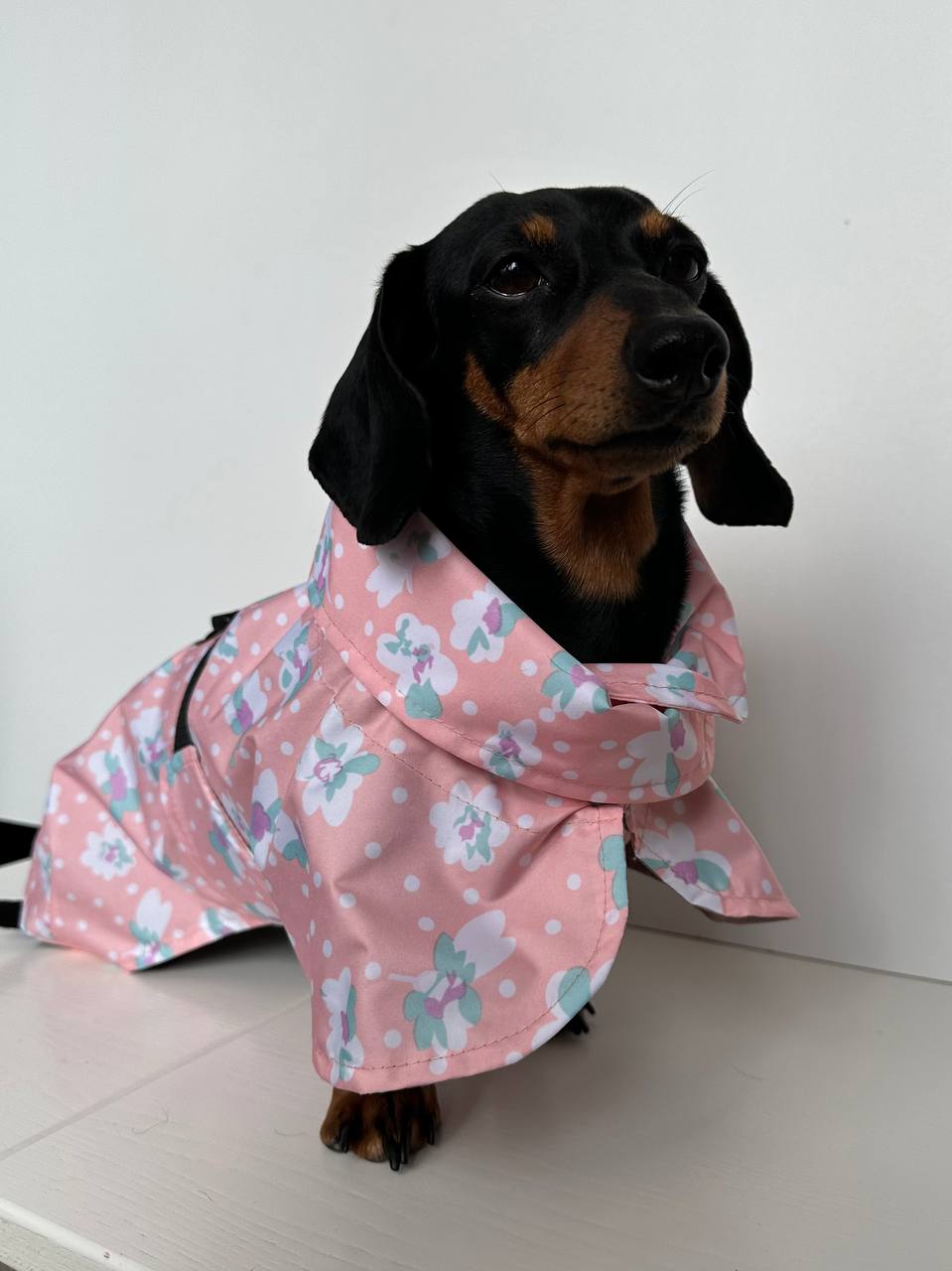Дождевик-плащ для собак DogsBomba Цветочки, персиковый Дождевик-плащ для собак DogsBomba Цветочки, персиковый