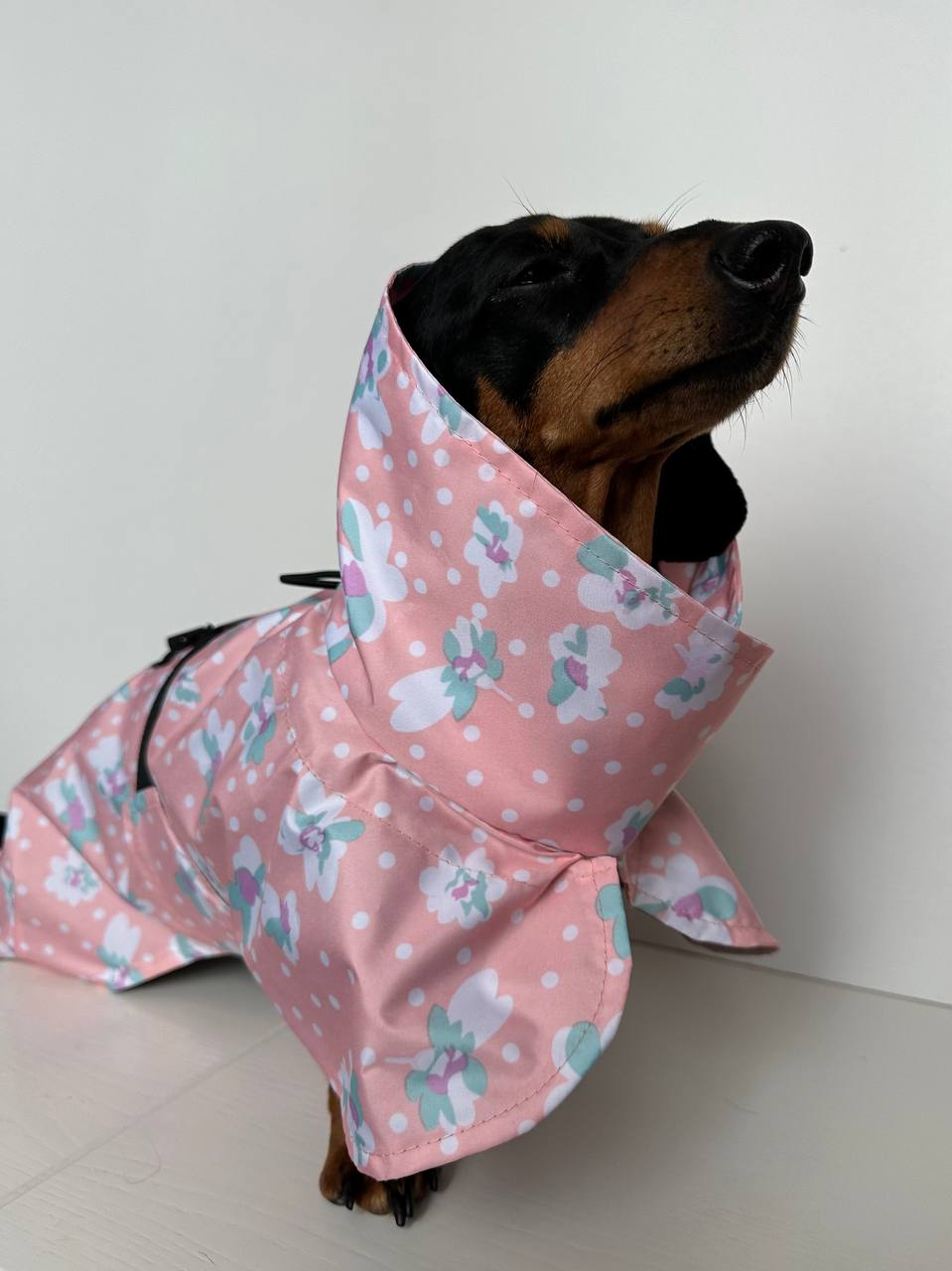 Дождевик-плащ для собак DogsBomba Цветочки, персиковый Дождевик-плащ для собак DogsBomba Цветочки, персиковый