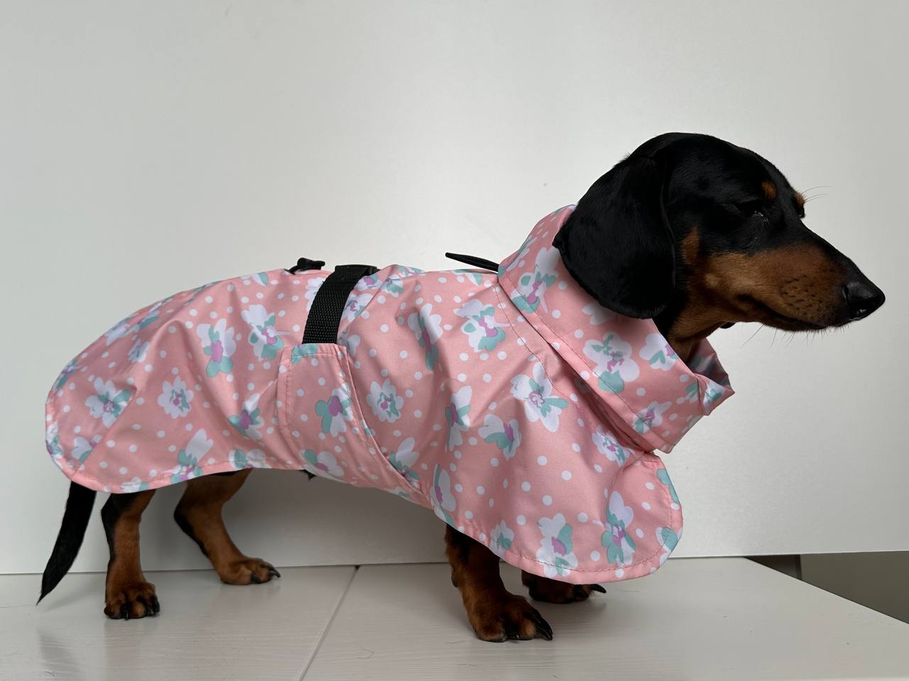 Дождевик-плащ для собак DogsBomba Цветочки, персиковый Дождевик-плащ для собак DogsBomba Цветочки, персиковый