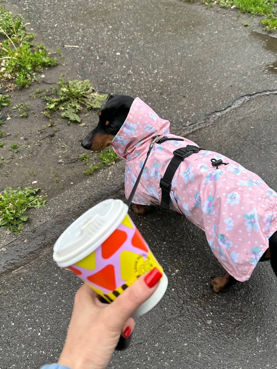 Дождевик-плащ для собак DogsBomba Цветочки, персиковый Дождевик-плащ для собак DogsBomba Цветочки, персиковый