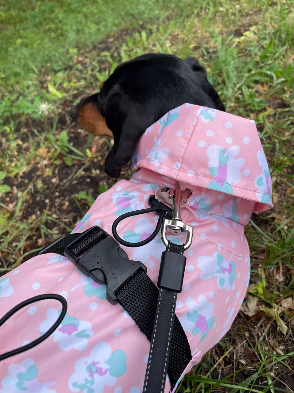 Дождевик-плащ для собак DogsBomba Цветочки, персиковый Дождевик-плащ для собак DogsBomba Цветочки, персиковый