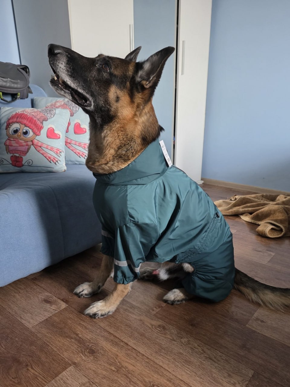 Дождевик для собак крупных пород DogsBomba, изумруд Дождевик для собак крупных пород DogsBomba, изумруд