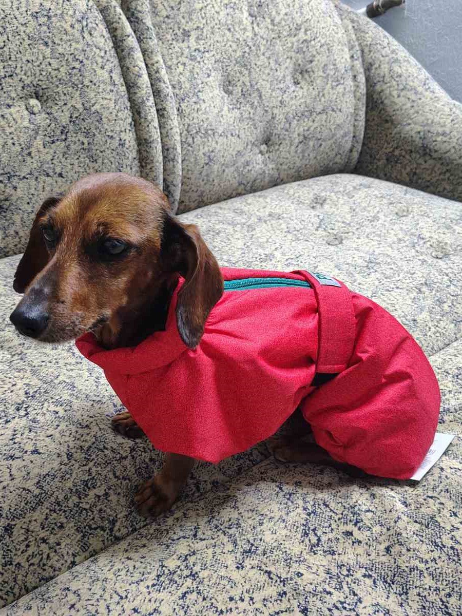 Комбинезон PetFashion Cold для такс, красный Комбинезон PetFashion Cold для такс, красный