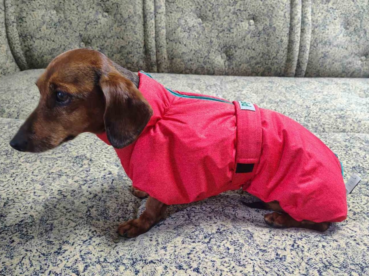 Комбинезон PetFashion Cold для такс, красный Комбинезон PetFashion Cold для такс, красный