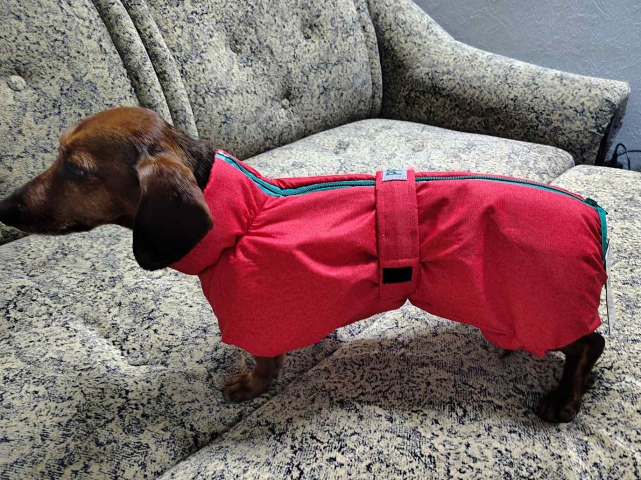 Комбинезон PetFashion Cold для такс, красный Комбинезон PetFashion Cold для такс, красный