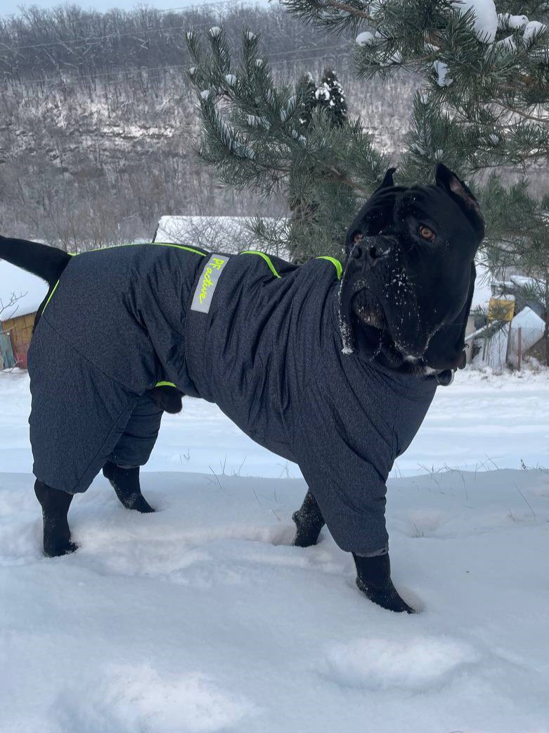 Комбинезон для собак PetFashion Cold, серый