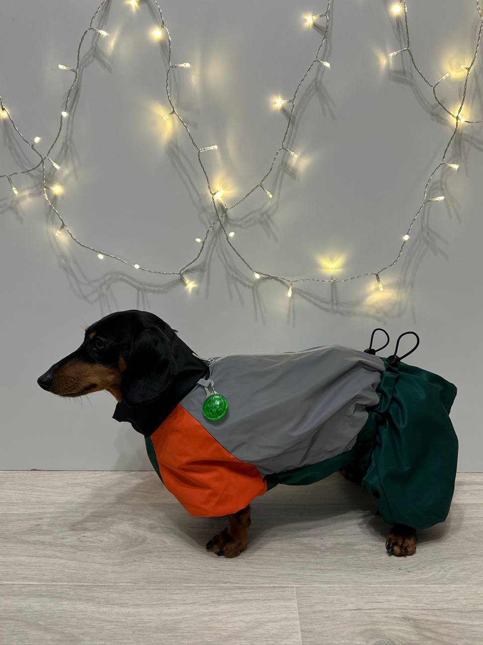 Дождевик PetFashion Marlie для такс и французских бульдогов Дождевик PetFashion Marlie для такс и французских бульдогов
