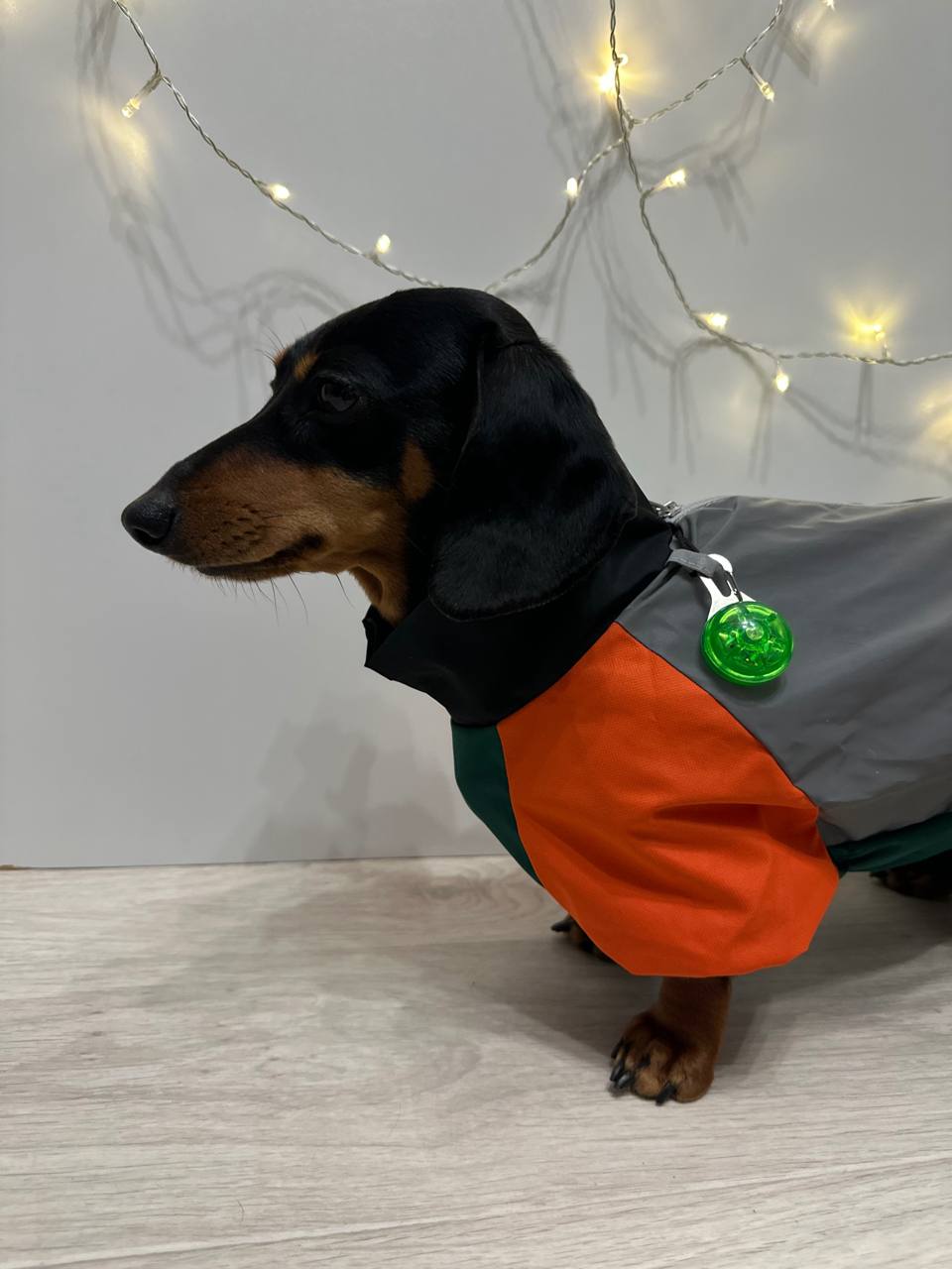 Дождевик PetFashion Marlie для такс и французских бульдогов Дождевик PetFashion Marlie для такс и французских бульдогов