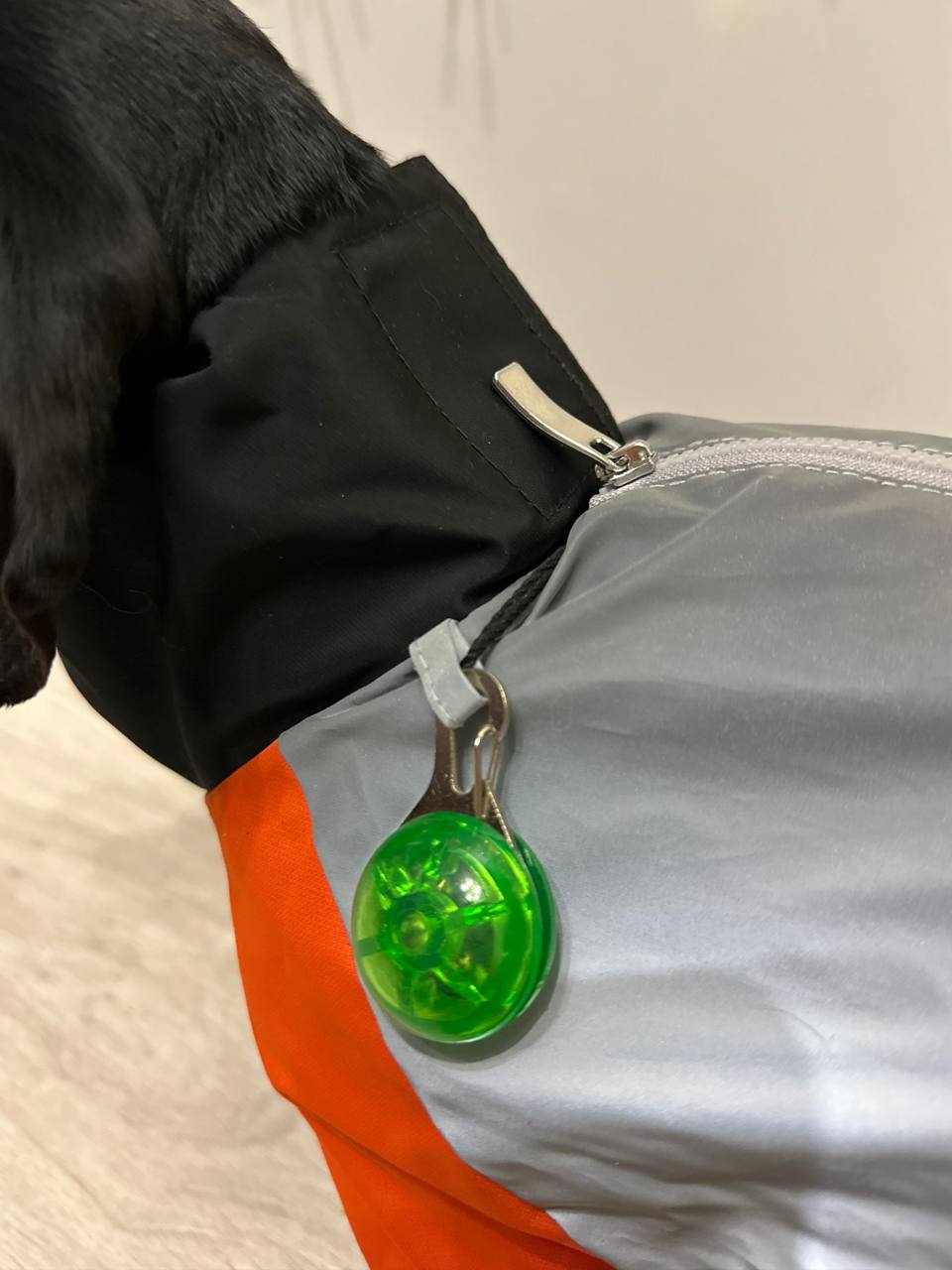 Дождевик PetFashion Marlie для такс и французских бульдогов Дождевик PetFashion Marlie для такс и французских бульдогов