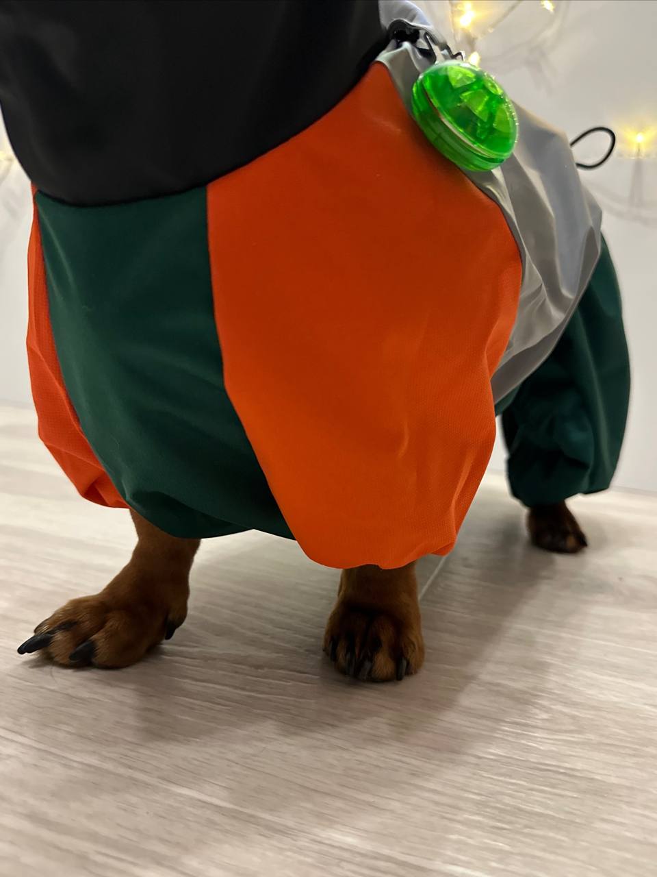 Дождевик PetFashion Marlie для такс и французских бульдогов Дождевик PetFashion Marlie для такс и французских бульдогов