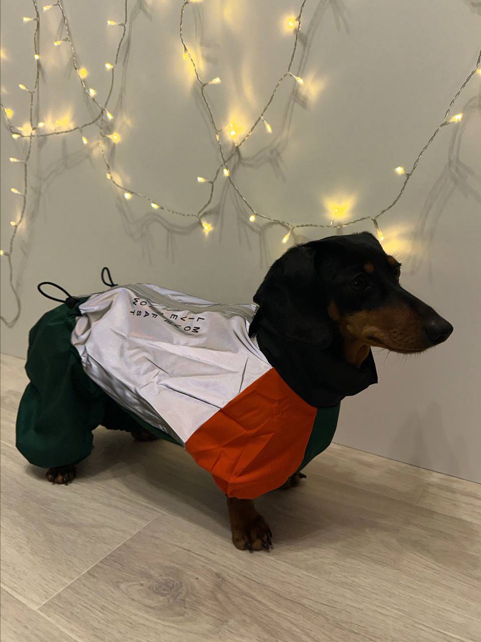 Дождевик PetFashion Marlie для такс и французских бульдогов Дождевик PetFashion Marlie для такс и французских бульдогов