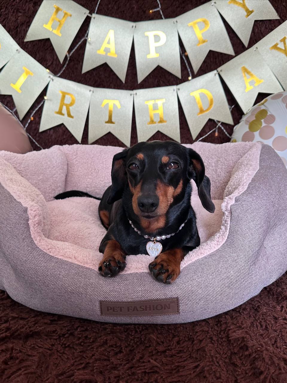 Лежак для собак Pet Fashion BRIG, кавовий, 58х48х20 см Лежак для собак Pet Fashion BRIG, кавовий, 58х48х20 см