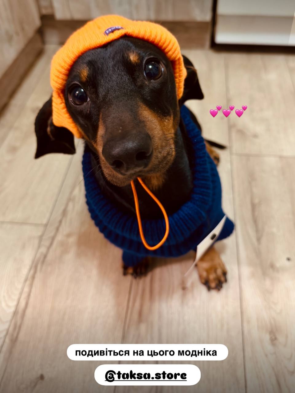 Свитер PetFashion Sam для собак, синий Свитер PetFashion Sam для собак, синий