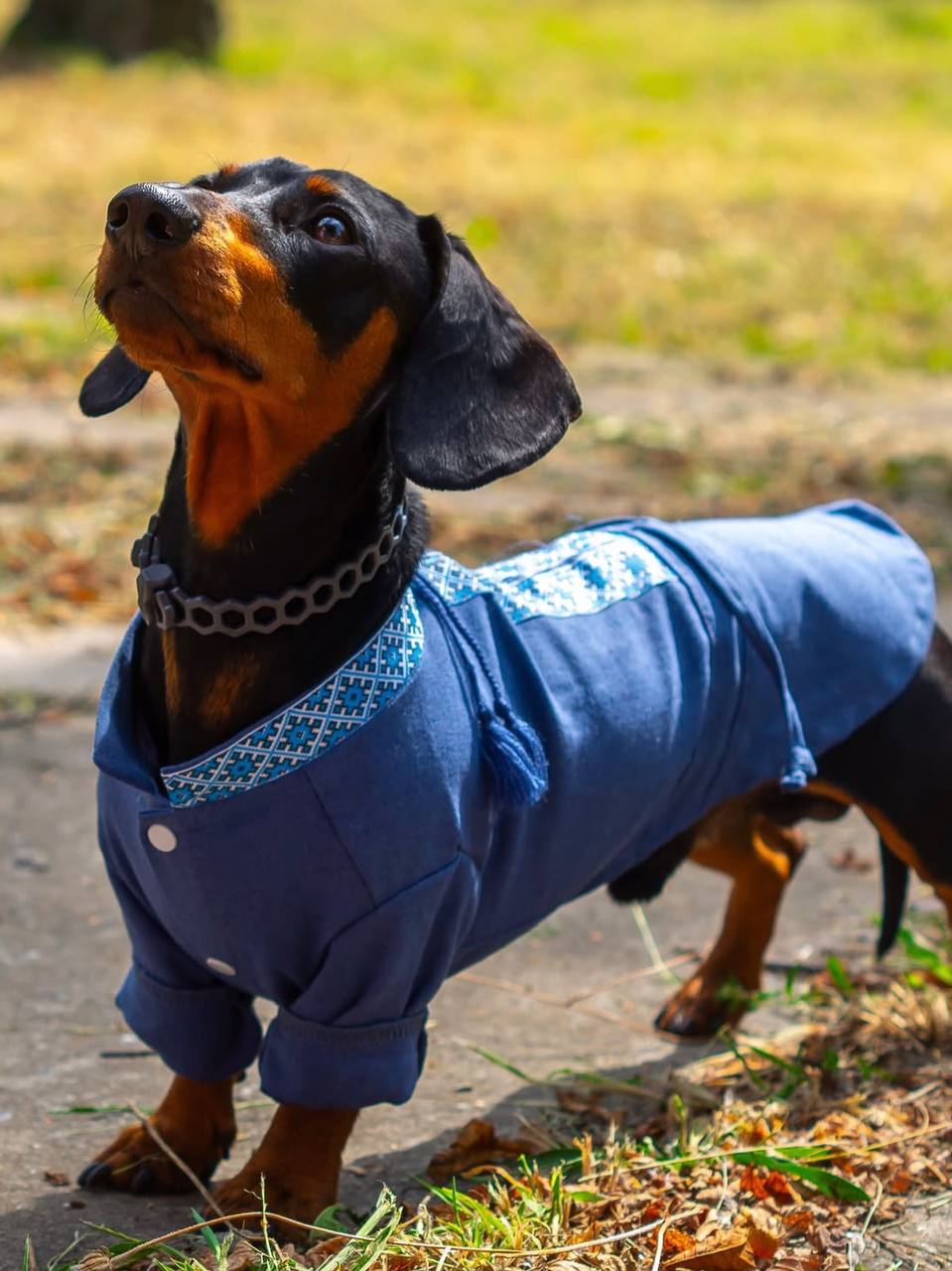 Вышиванка для собак DogsBomba с кисточками, джинс Вышиванка для собак DogsBomba с кисточками, джинс