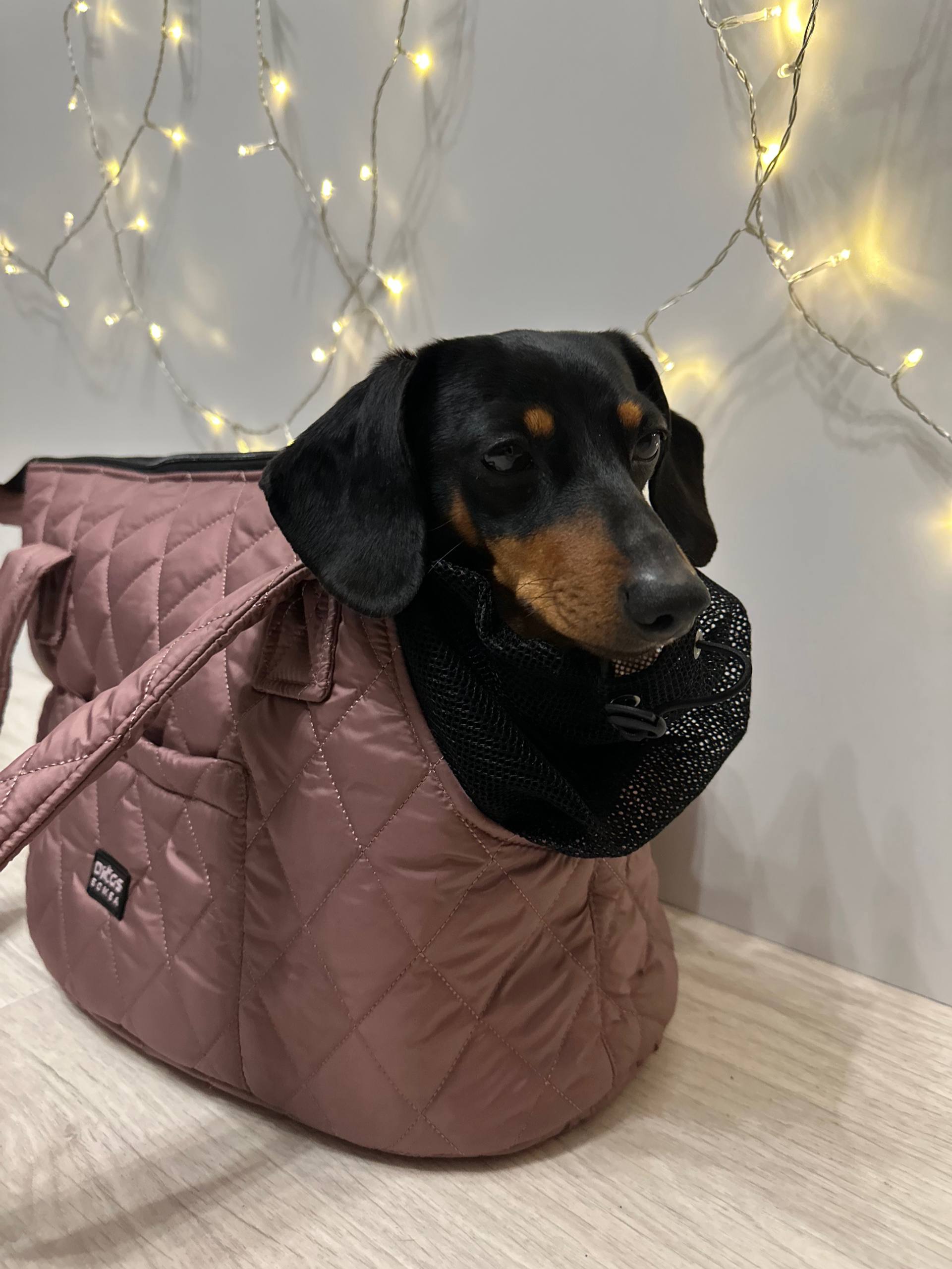 Сумка-переноска DogsBomba стеганая для собак до 5 кг, мокко Сумка-переноска DogsBomba стеганая для собак до 5 кг, мокко