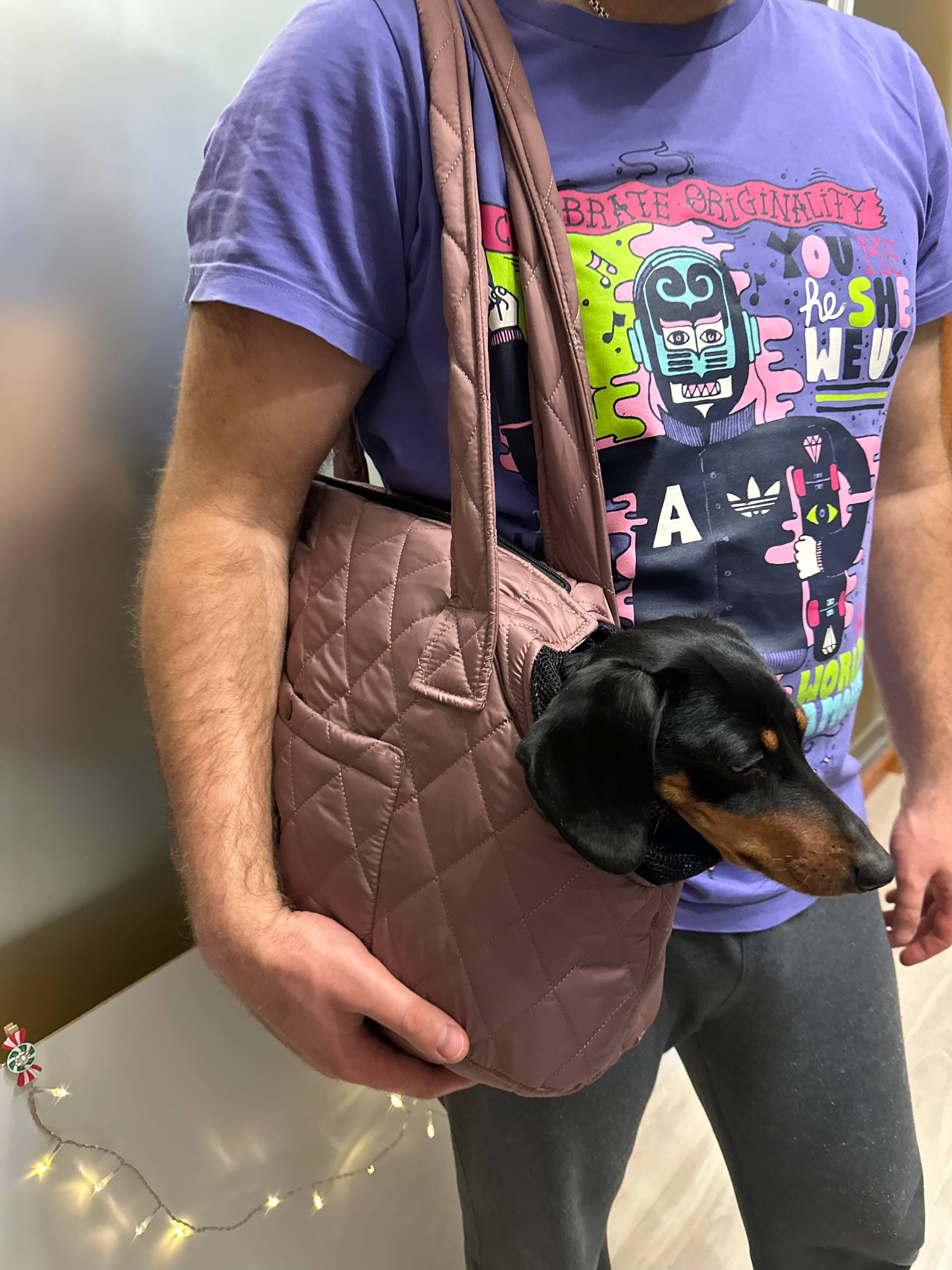 Сумка-переноска DogsBomba стеганая для собак до 5 кг, мокко Сумка-переноска DogsBomba стеганая для собак до 5 кг, мокко