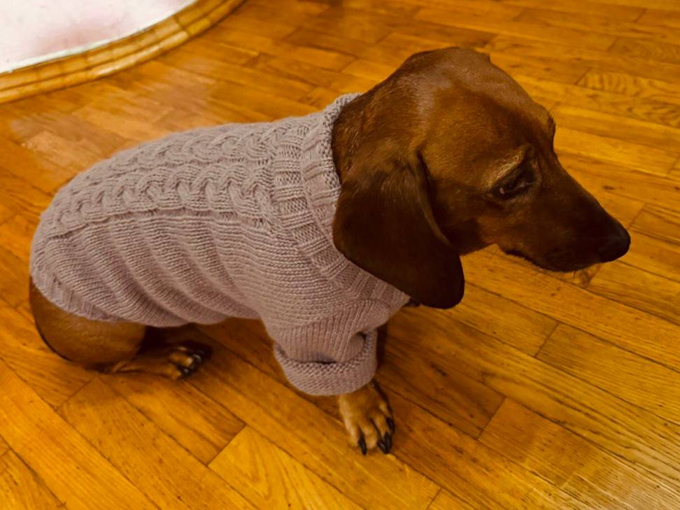 Свитер для собак вязаный DogsBomba Косичка, какао Свитер для собак вязаный DogsBomba Косичка, какао