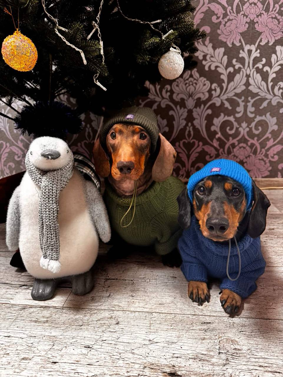 Свитер для собак вязаный DogsBomba Косичка, синий Свитер для собак вязаный DogsBomba Косичка, синий