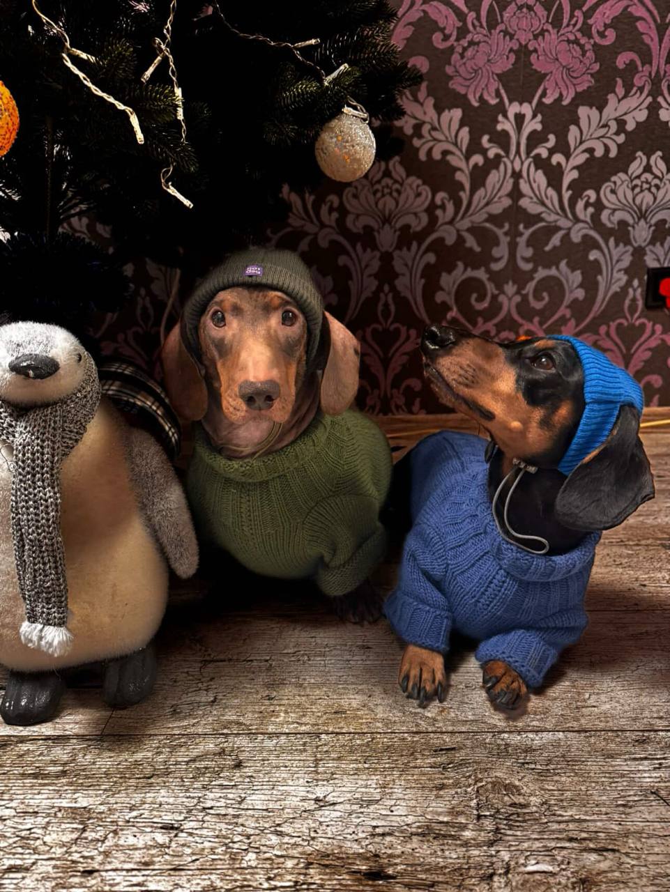 Свитер для собак вязаный DogsBomba Косичка, синий Свитер для собак вязаный DogsBomba Косичка, синий